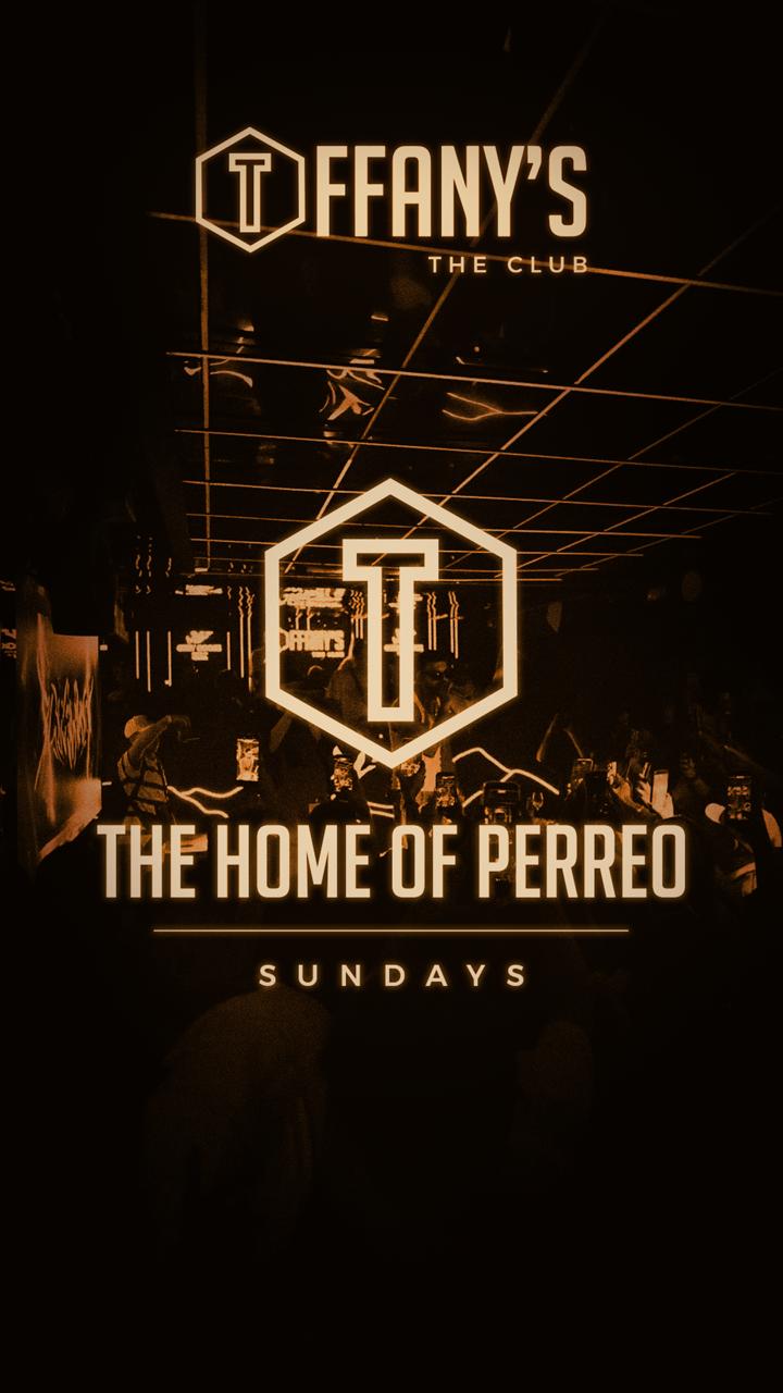 THE HOME OF PERREO at Tiffany's