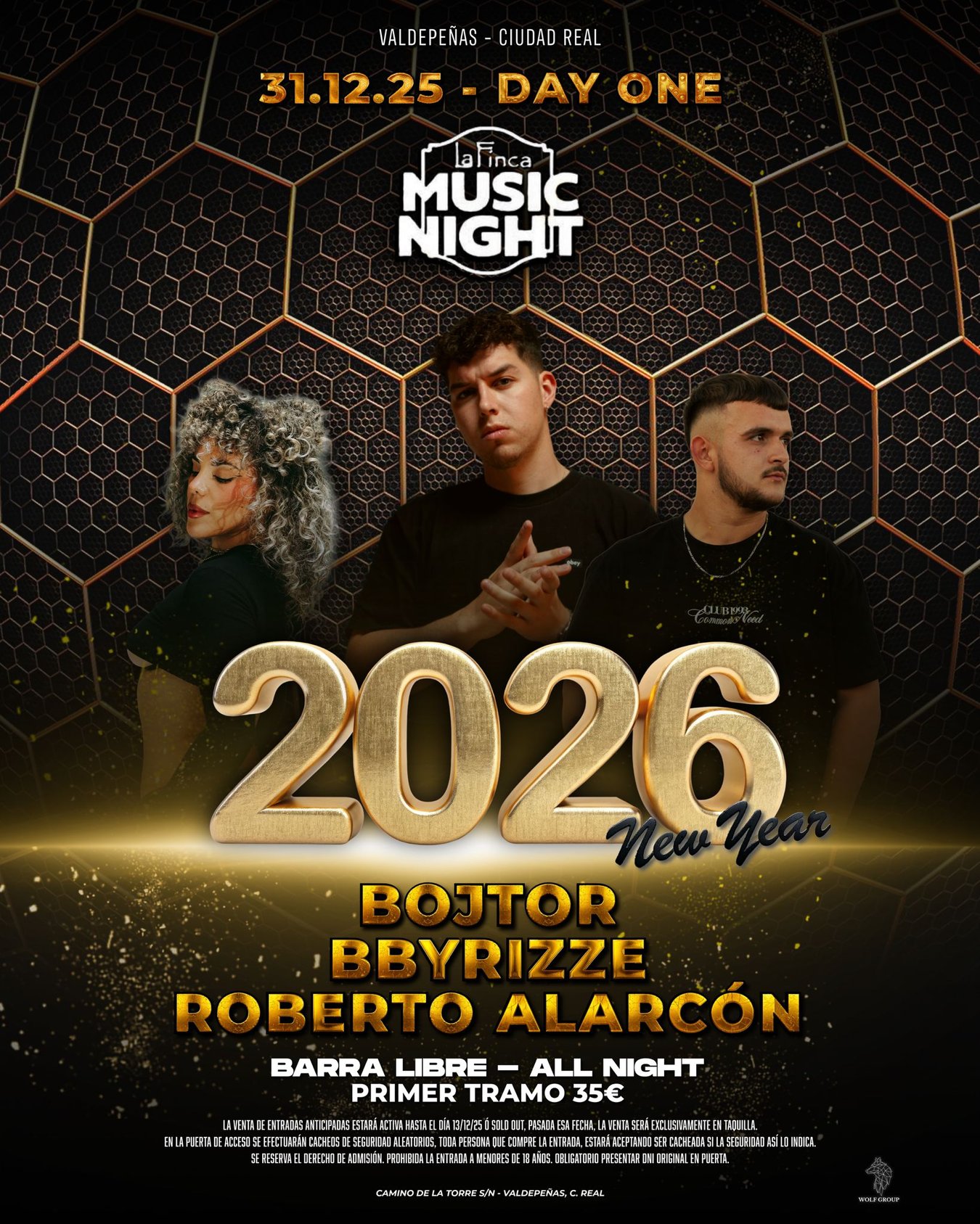 Imagen Concierto Rock Festival Música Celebración Nochevieja Fiesta  Discoteca Pista — Foto de stock #261984822 © YAYImages, image size:1350x1687