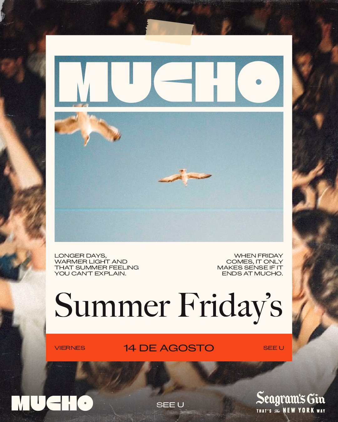 Summer Friday´s - Viernes