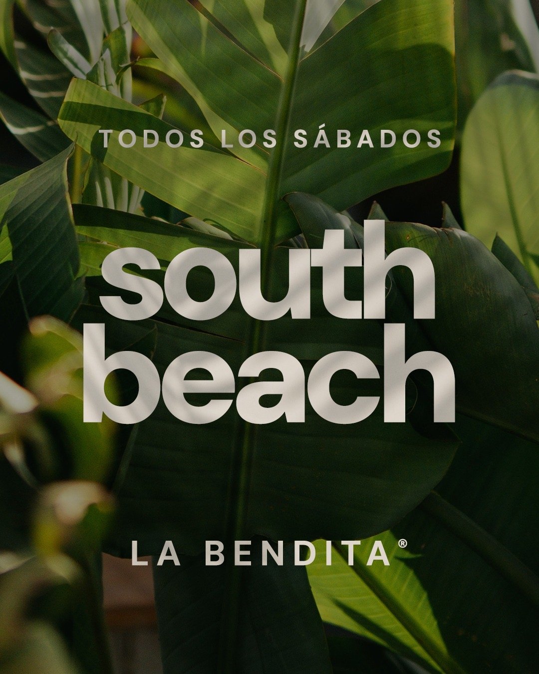 Cartel de SOUTH BEACH
