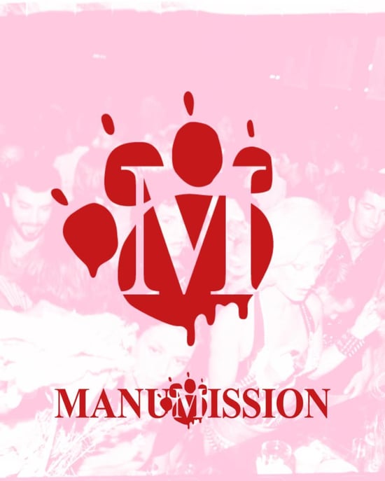 Manumission At 528