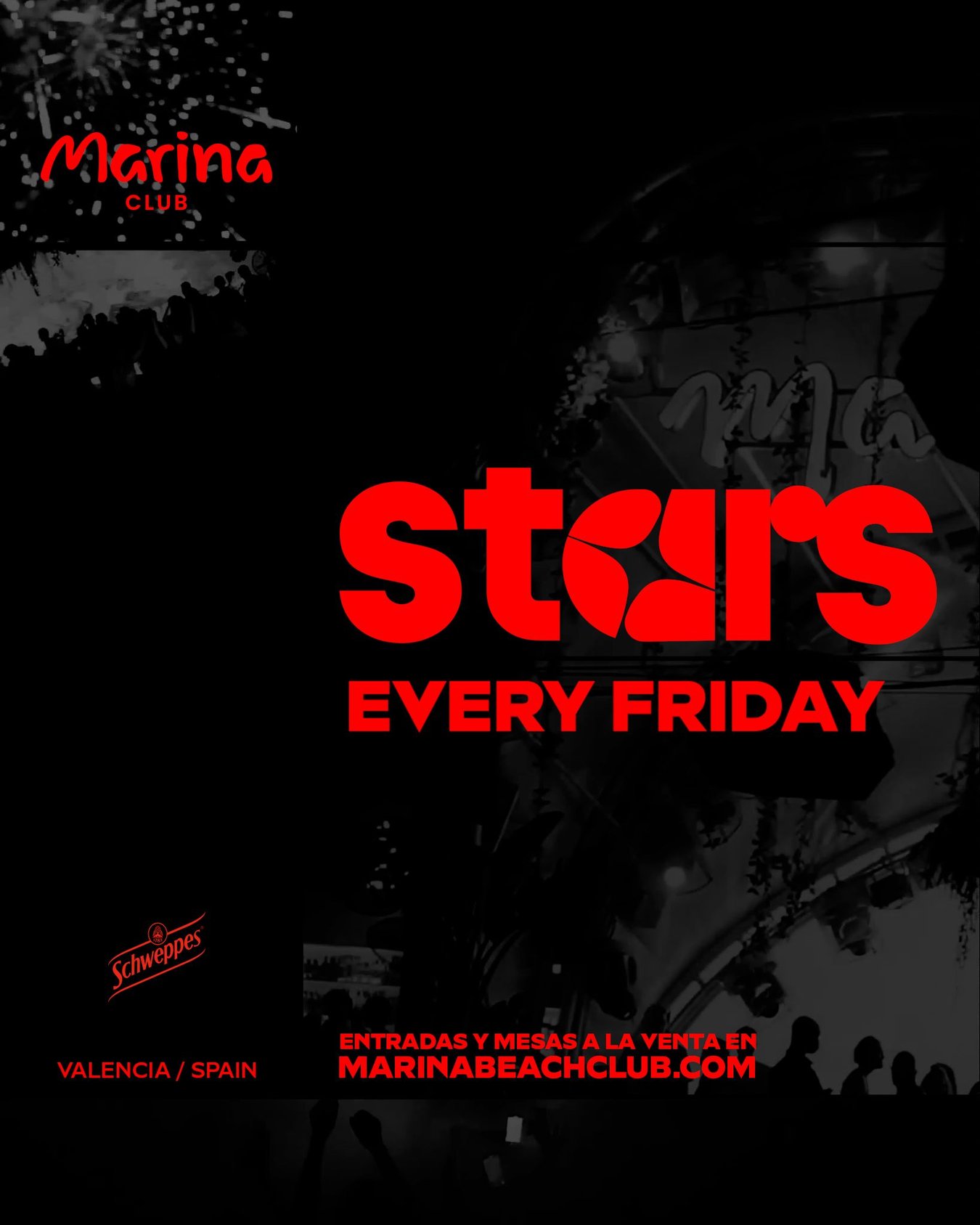 STARS: KATHY K | NOCHE