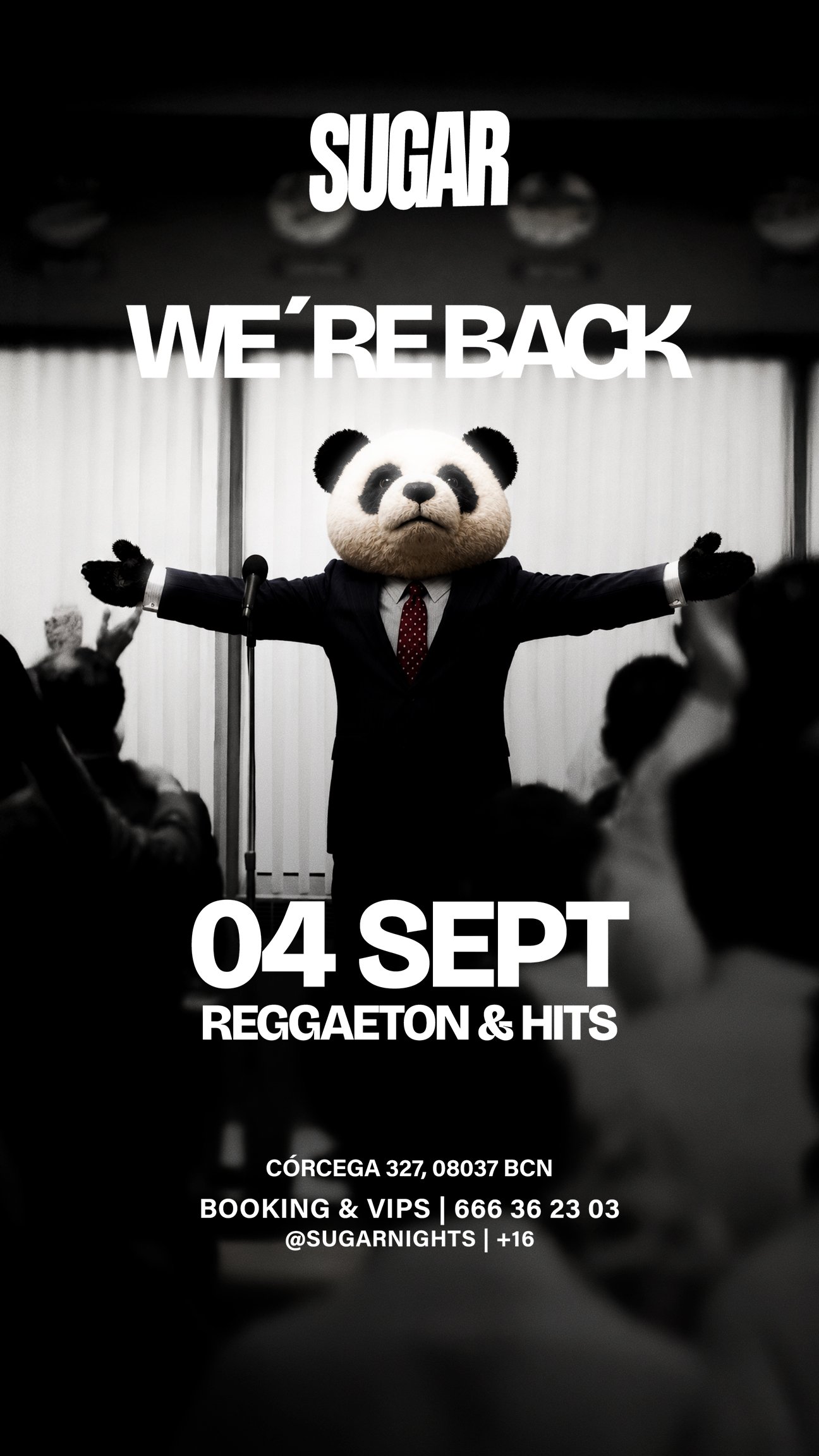 WE’RE BACK - SUGAR