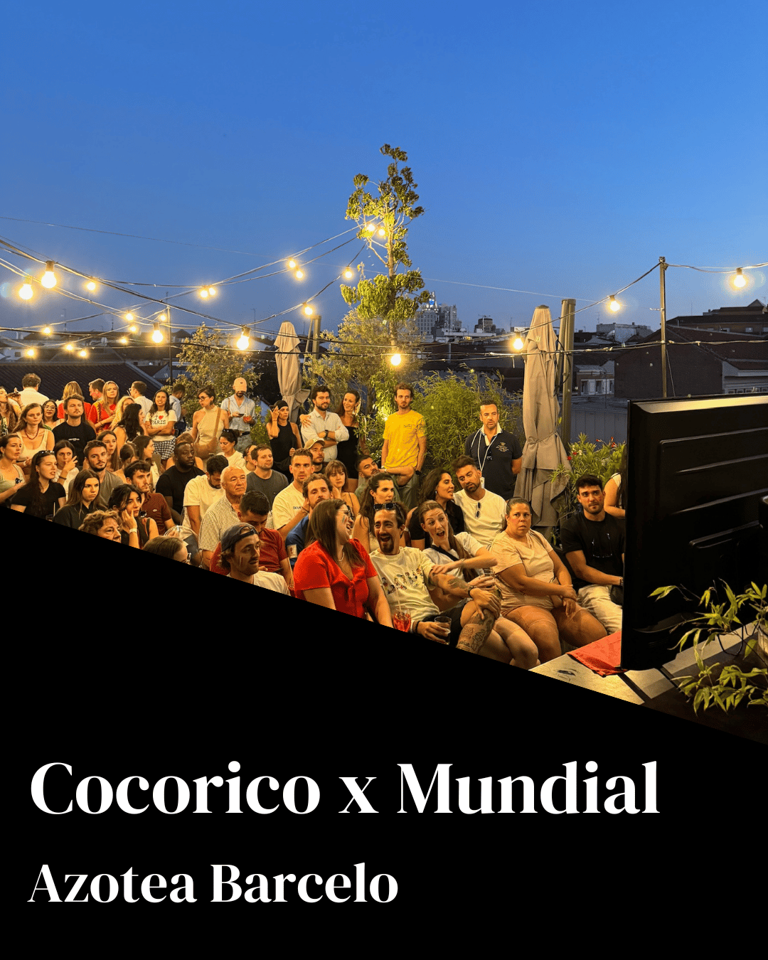 Final del Mundial