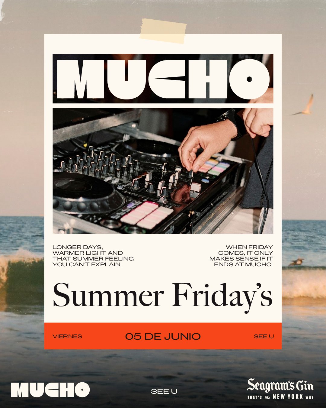 Summer Friday´s - Viernes