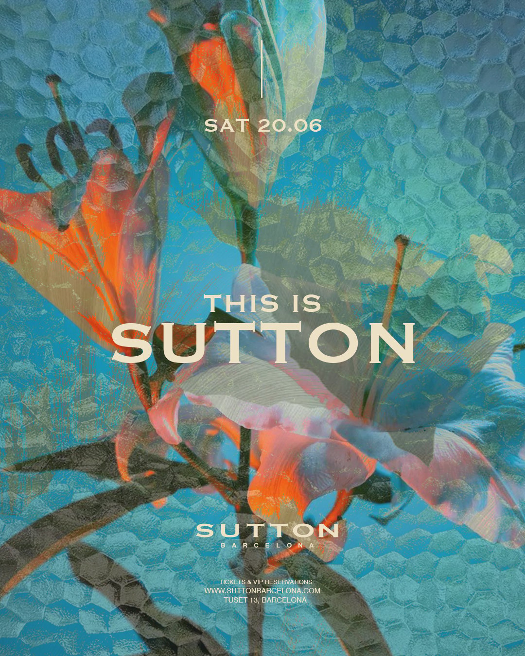 THIS IS SUTTON