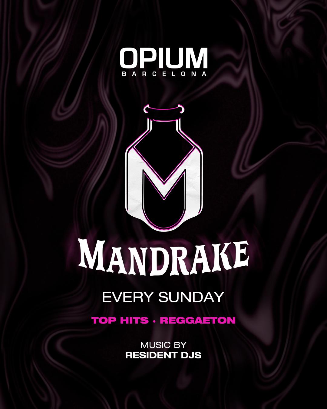 Mandrake